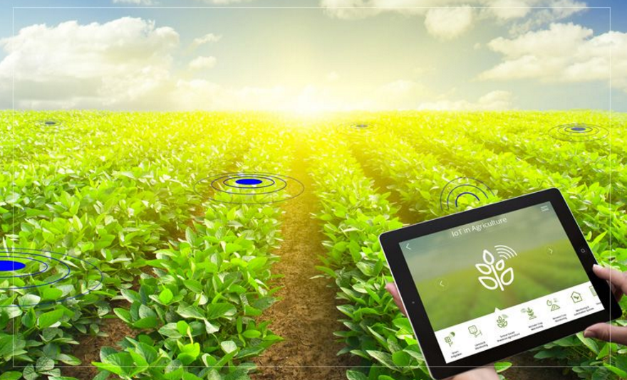 2020年智慧农业物联网日渐崛起该行业的发展趋势