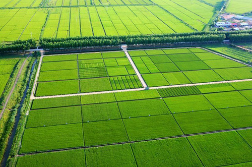 智慧农业物联网系统将助力农业生产力的提升